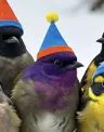 havicw's Avatar